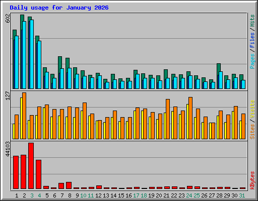 Daily usage for January 2026
