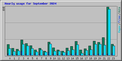 Hourly usage for September 2024