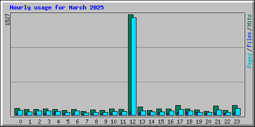 Hourly usage for March 2025