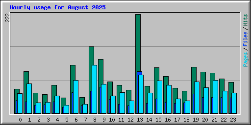 Hourly usage for August 2025