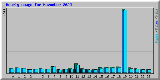 Hourly usage for November 2025