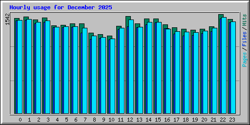 Hourly usage for December 2025